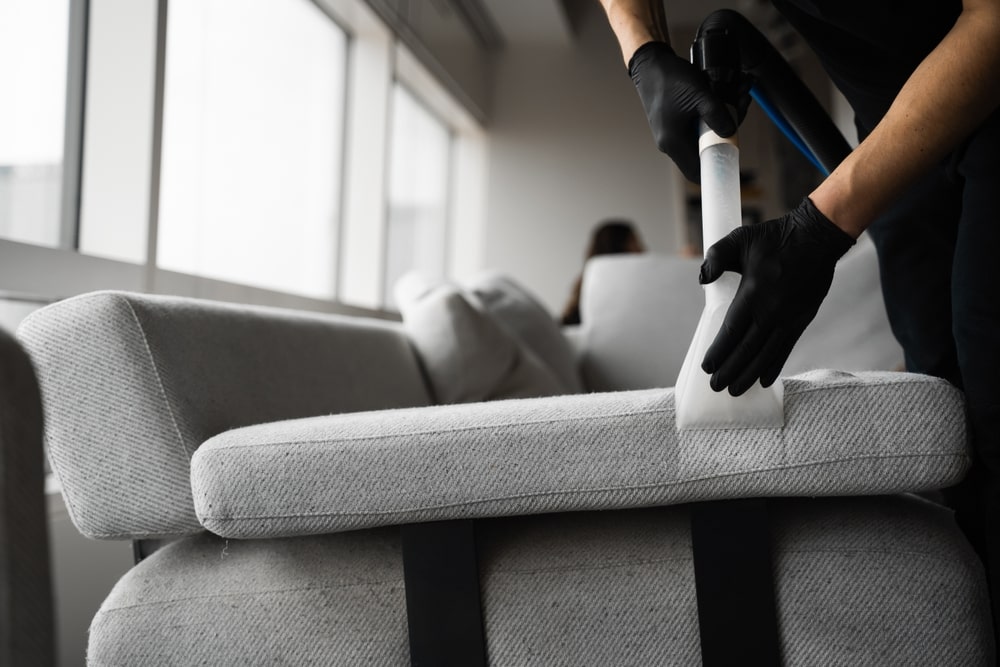 5 of the best sofa cleaning services in Heidelberg – refresh your upholstered furniture instead of hastily replacing it